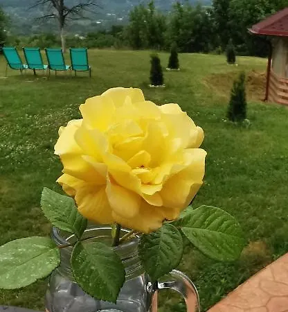 Pensiunea Casa Runcu Buzau Guest house Runcu (Buzau)