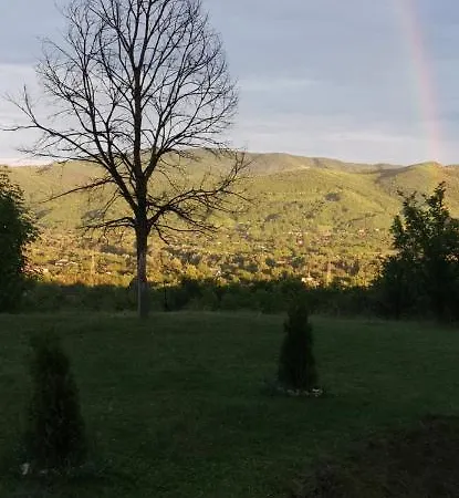 Pensiunea Casa Runcu Buzau Guest house