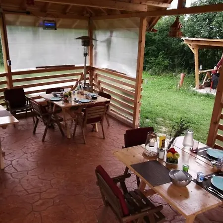 Pensiunea Casa Runcu Buzau 3*