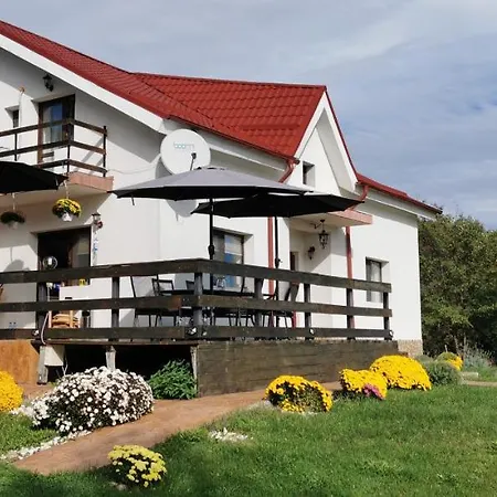Pensiunea Casa Runcu Buzau Runcu (Buzau)