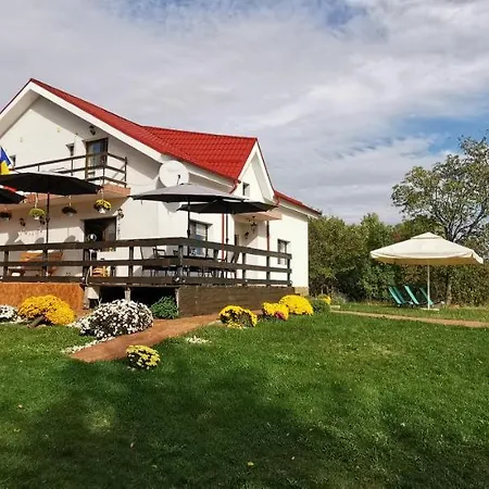 Pensiunea Casa Runcu Buzau Runcu (Buzau)