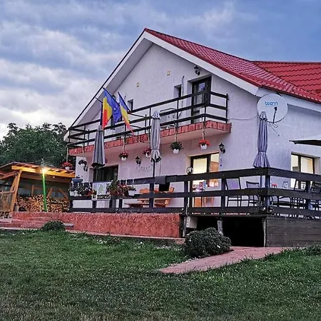 Pensiunea Casa Runcu Buzau 3*