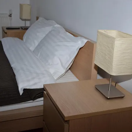 Pensiunea Casa Runcu Buzau 3* Runcu (Buzau)