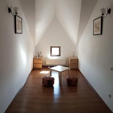 Pensiune Pensiunea Casa Runcu Buzau 3*