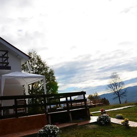 Guest house Pensiunea Casa Runcu Buzau 3*