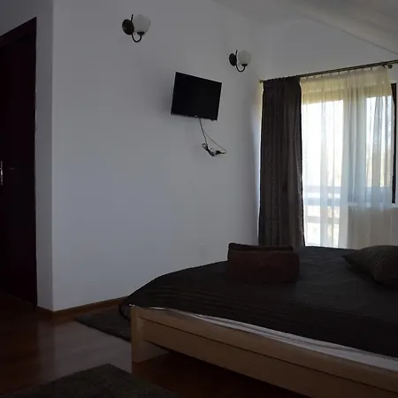 Pensiunea Casa Runcu Buzau 3* Runcu (Buzau)