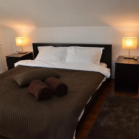 Pensiune Pensiunea Casa Runcu Buzau 3*