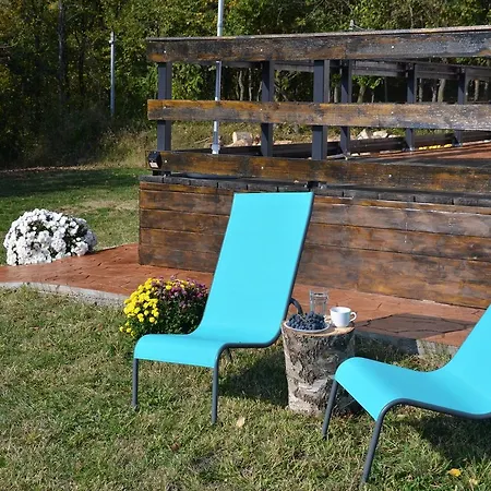 Pensiunea Casa Runcu Buzau 3* Runcu (Buzau)