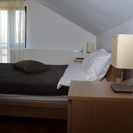 Pensiune Pensiunea Casa Runcu Buzau 3*