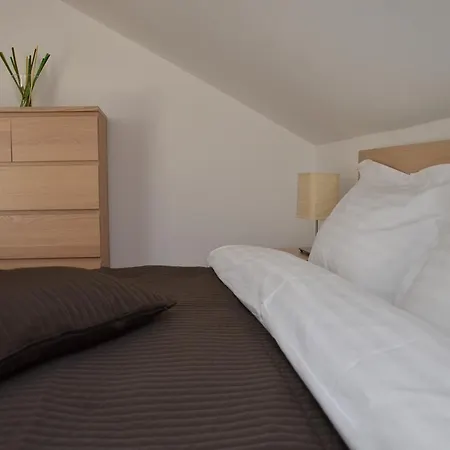 Pensiunea Casa Runcu Buzau 3* Runcu (Buzau)