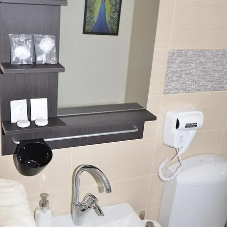Guest house Pensiunea Casa Runcu Buzau 3*