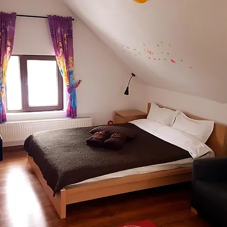 Pensiunea Casa Runcu Buzau 3* Runcu (Buzau)