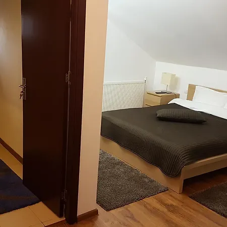Pensiunea Casa Runcu Buzau 3* Runcu (Buzau)