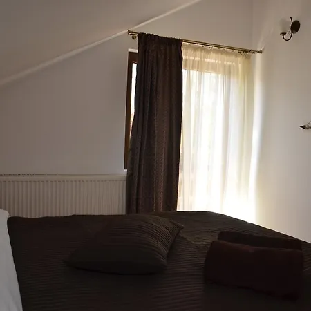 Pensiunea Casa Runcu Buzau 3* Runcu (Buzau)
