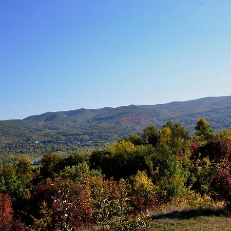 Pensiunea Casa Runcu Buzau 3* Runcu (Buzau)