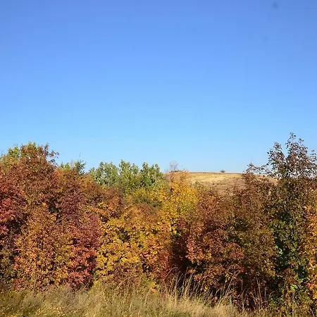 Pensiunea Casa Runcu Buzau 3* Runcu (Buzau)