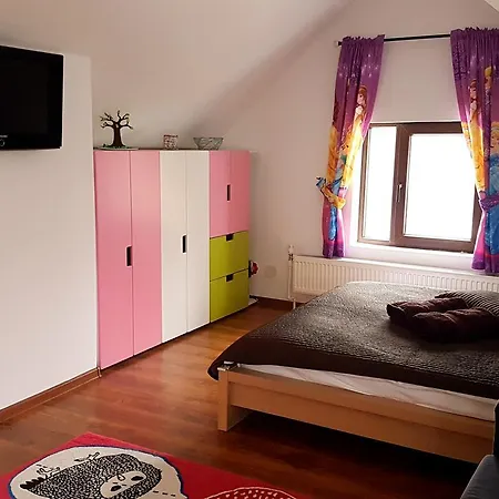 Pensiunea Casa Runcu Buzau 3* Runcu (Buzau)