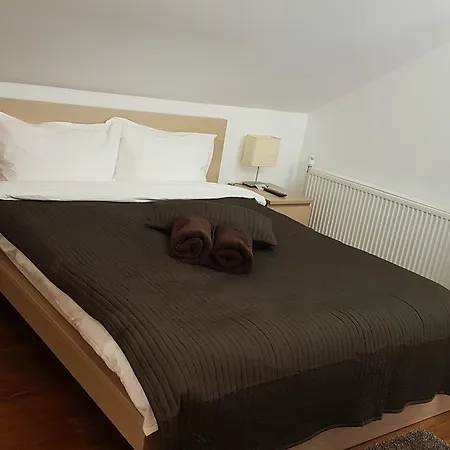 Pensiunea Casa Runcu Buzau 3* Runcu (Buzau)