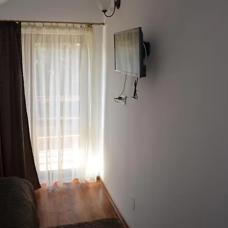 Pensiunea Casa Runcu Buzau 3* Runcu (Buzau)