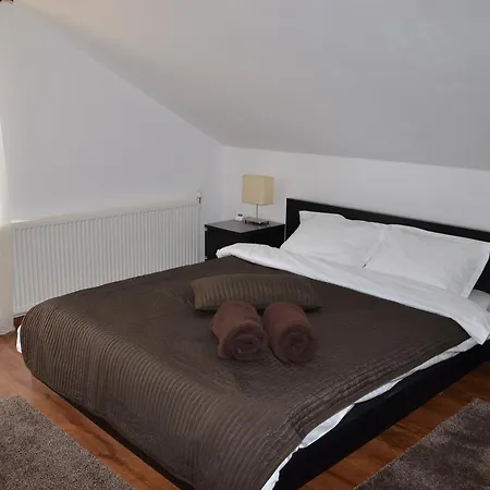 Pensiunea Casa Runcu Buzau 3* Runcu (Buzau)