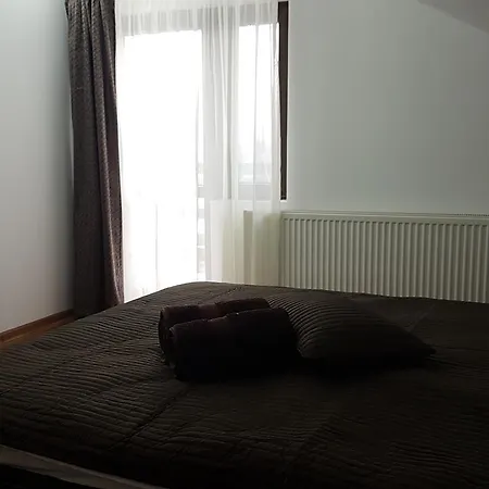 Guest house Pensiunea Casa Runcu Buzau 3*