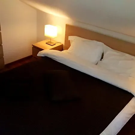 Guest house Pensiunea Casa Runcu Buzau 3*