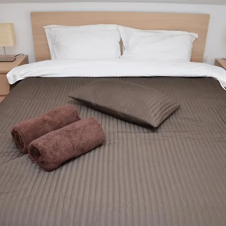 Pensiunea Casa Runcu Buzau 3* Runcu (Buzau)