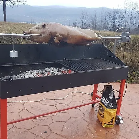 Pensiunea Casa Runcu Buzau 3* Runcu (Buzau)