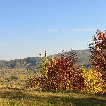Pensiunea Casa Runcu Buzau 3*