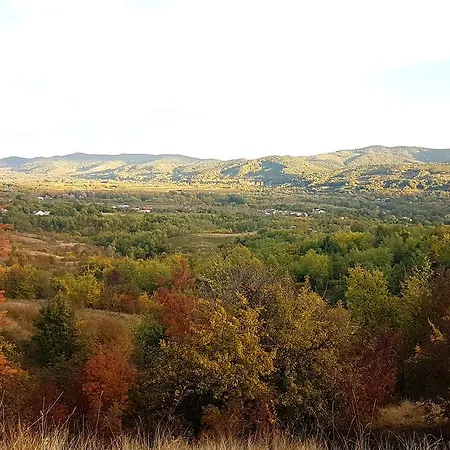 Pensiunea Casa Runcu Buzau Pensiune Runcu (Buzau)