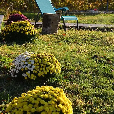 Guest house Pensiunea Casa Runcu Buzau
