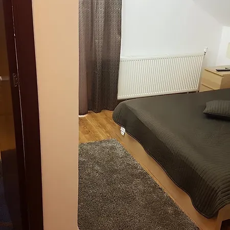 Pensiunea Casa Runcu Buzau