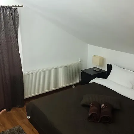 Pensiunea Casa Runcu Buzau Guest house