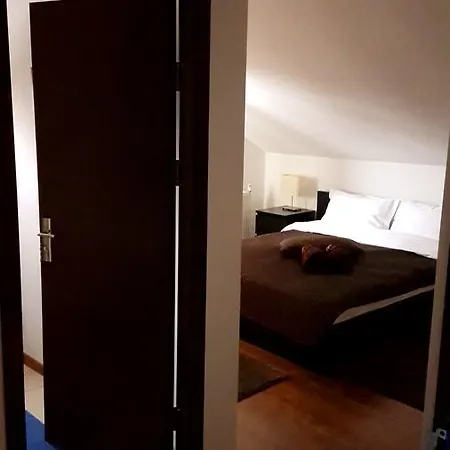 Pensiunea Casa Runcu Buzau Runcu (Buzau)