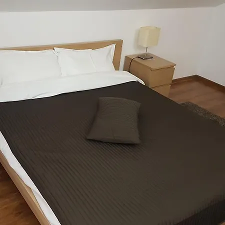 Pensiunea Casa Runcu Buzau 3*