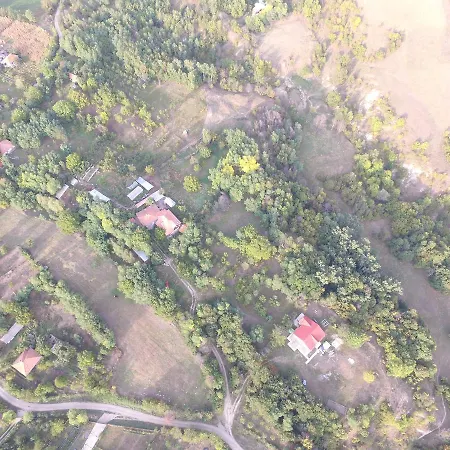 Pensiunea Casa Runcu Buzau 3* Runcu (Buzau)