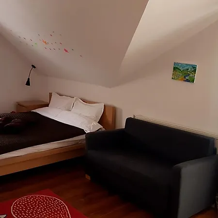 Pensiunea Casa Runcu Buzau