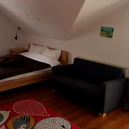 Guest house Pensiunea Casa Runcu Buzau