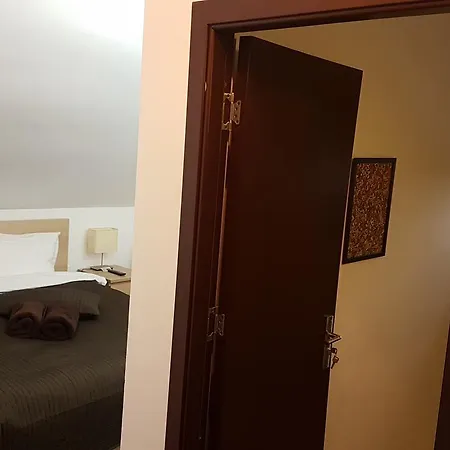 Guest house Pensiunea Casa Runcu Buzau