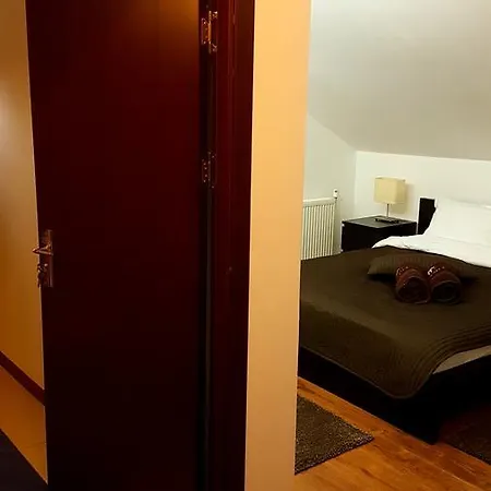 Guest house Pensiunea Casa Runcu Buzau