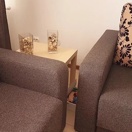 Pensiunea Casa Runcu Buzau Guest house 3*