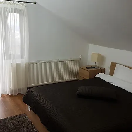 Pensiunea Casa Runcu Buzau Runcu (Buzau)