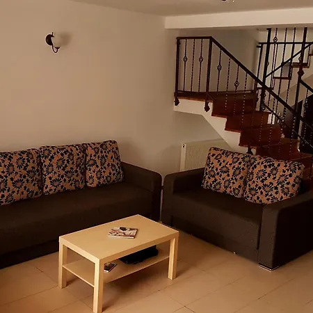 Guest house Pensiunea Casa Runcu Buzau