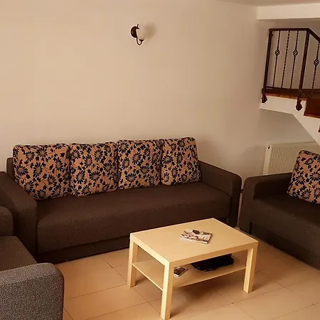 Guest house Pensiunea Casa Runcu Buzau Runcu (Buzau)