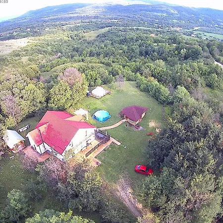 Pensiune Pensiunea Casa Runcu Buzau Runcu (Buzau)