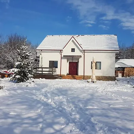 Pensiunea Casa Runcu Buzau Runcu (Buzau)