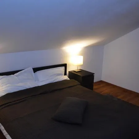 Pensiunea Casa Runcu Buzau Guest house 3*