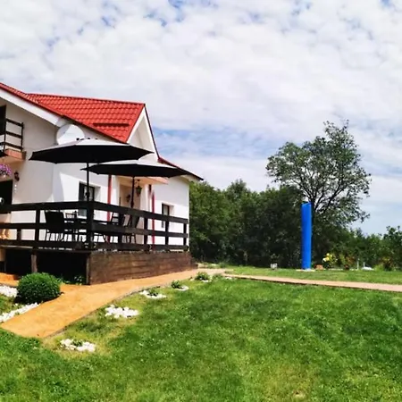 Pensiunea Casa Runcu Buzau Guest house Runcu (Buzau)