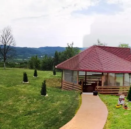 Pensiune Pensiunea Casa Runcu Buzau Runcu (Buzau)